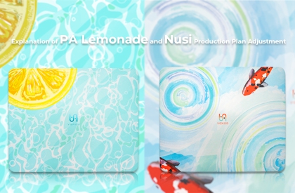 Explanation of PA Lemonade and Nusi Production Plan Adjustment