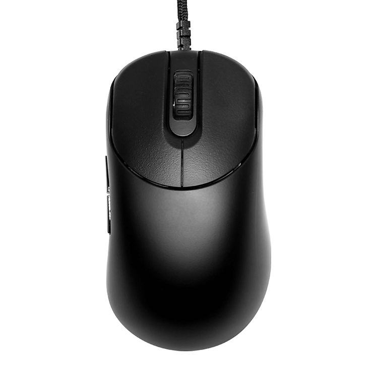 ZYGEN NP-01 (Full Matte)